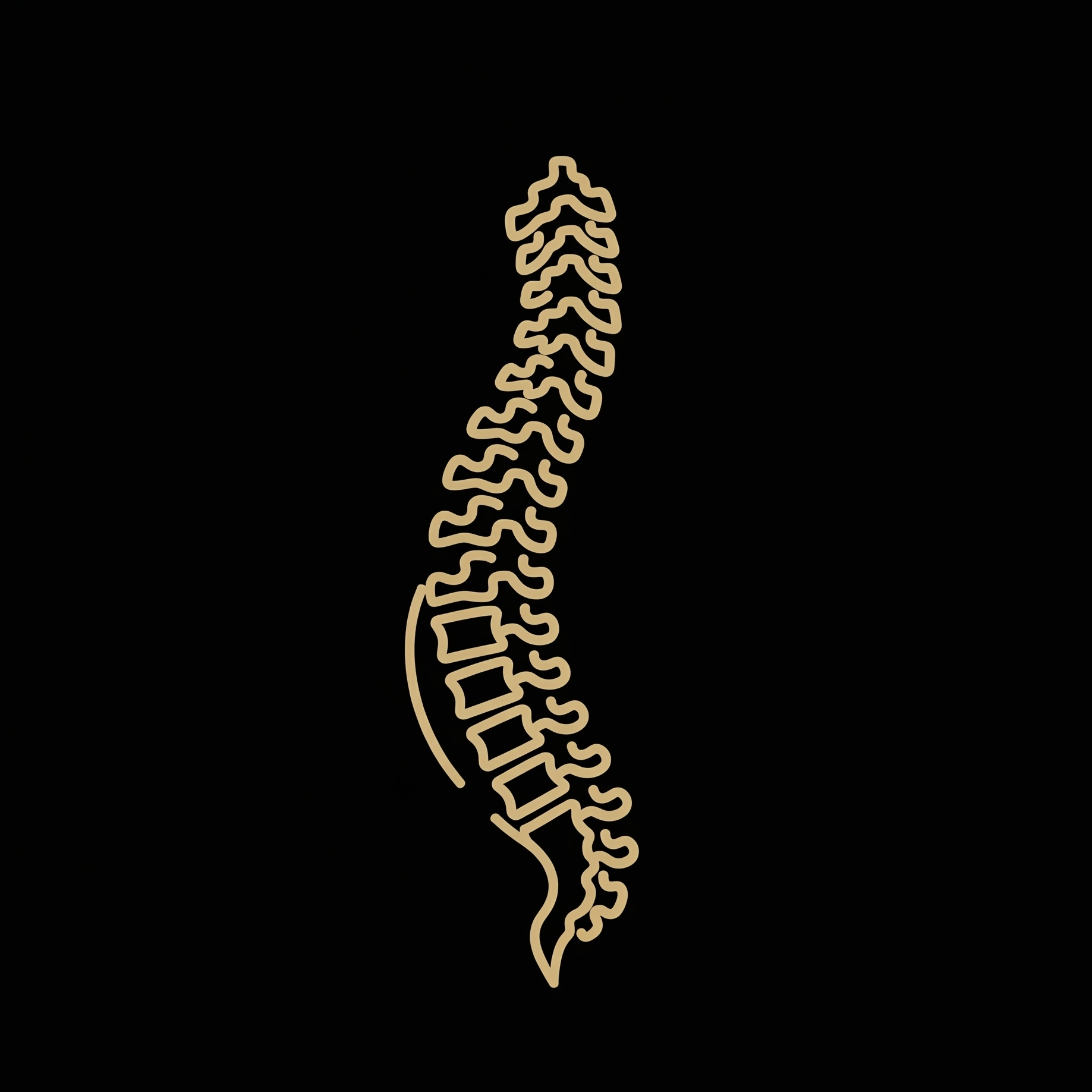 Spine Icon